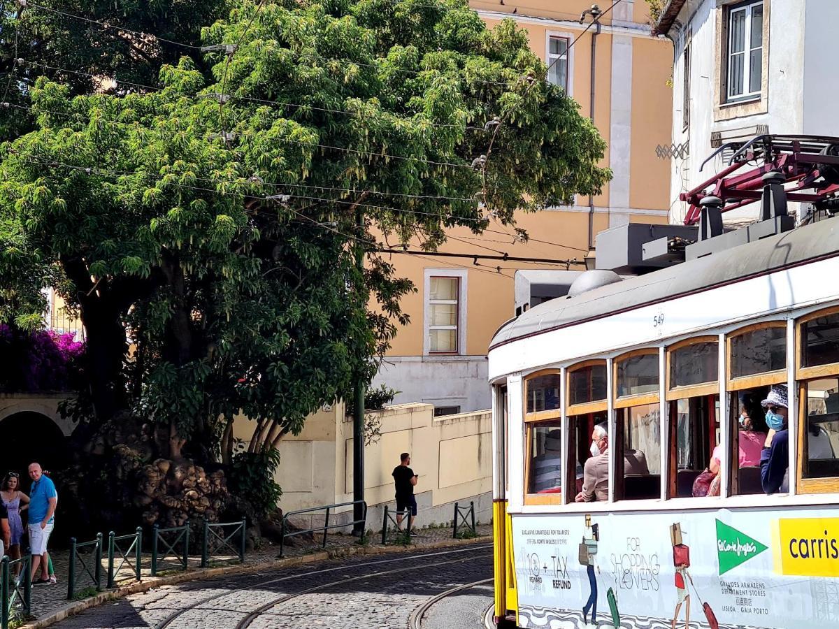 Lel Madalena Maison d'hôtes Lisboa